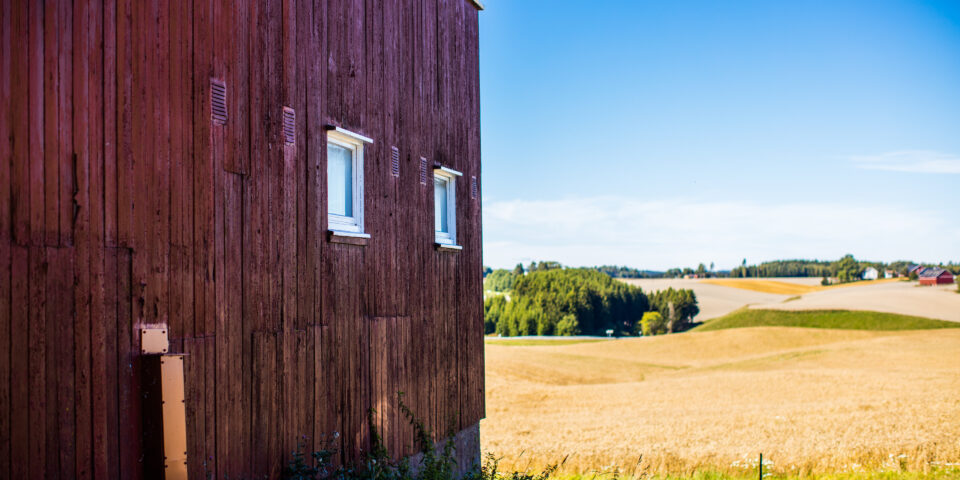 Bondegård